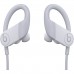 Наушники Beats Powerbeats (MWNW2EE/A), White