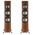 Напольная акустика Polk Audio Reserve R700 black